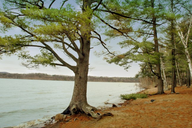 sandybeach-apr5-09-132