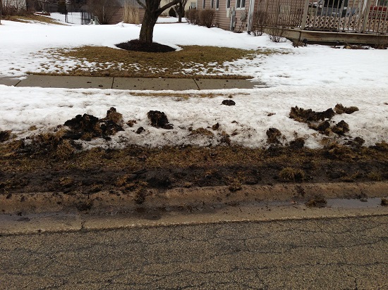 snow-plow-damage-to-lawn-in-bolingbrook-3-2013-03-10.jpg