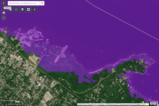 Screen Shot 2019-07-16 at 11.20.43 AM.png