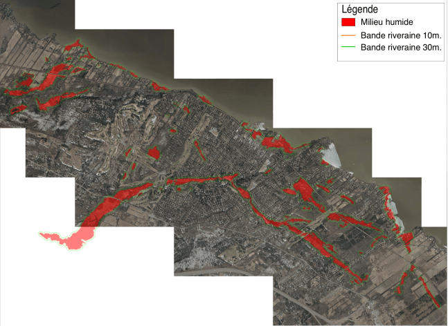 Screen Shot 2019-11-14 at 12.09.31 PM.png